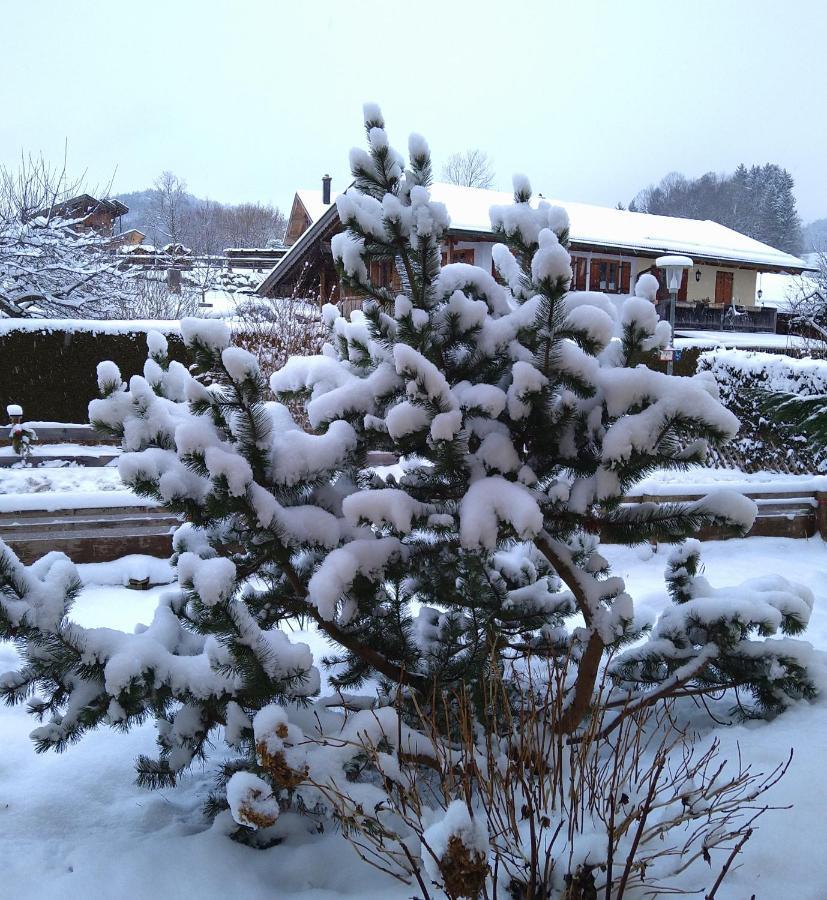 Haus Tschakert Hotel อังกา ภายนอก รูปภาพ